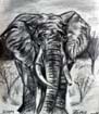 a_elephant drawing